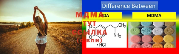 прущие грибы Коряжма