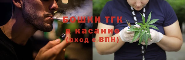 прущие грибы Коряжма