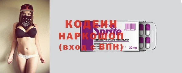 прущие грибы Коряжма