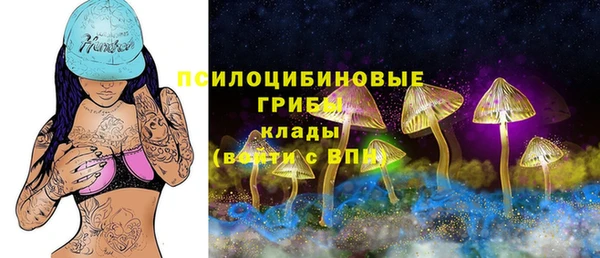 крисы Аркадак