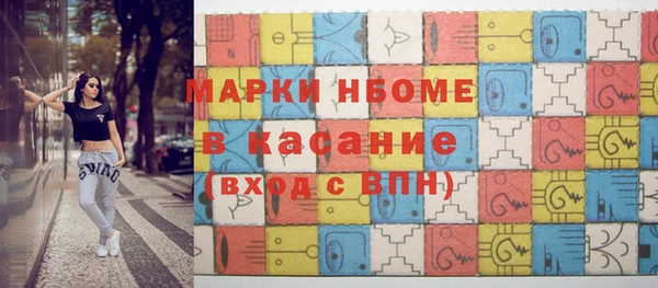 прущие грибы Коряжма