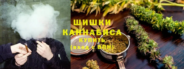 прущие грибы Коряжма