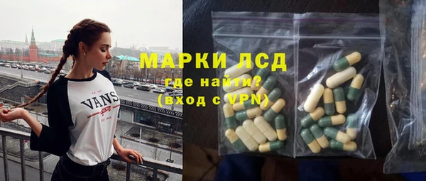 прущие грибы Коряжма