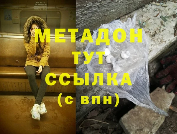 прущие грибы Коряжма