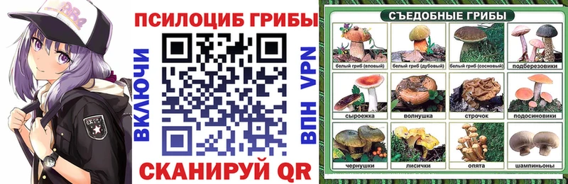 Галлюциногенные грибы GOLDEN TEACHER Мурманск