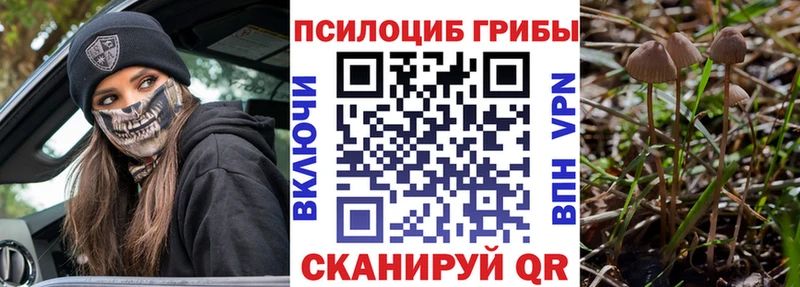 Псилоцибиновые грибы мицелий  Мурманск 
