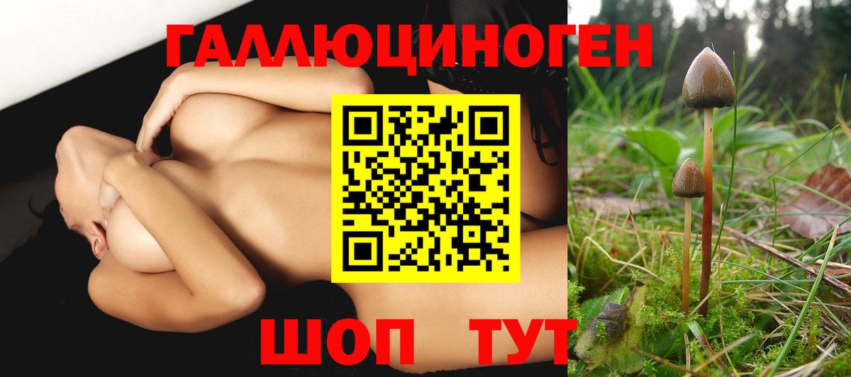 Мурманск  Псилоцибиновые грибы ЛСД  Вход с VPN 